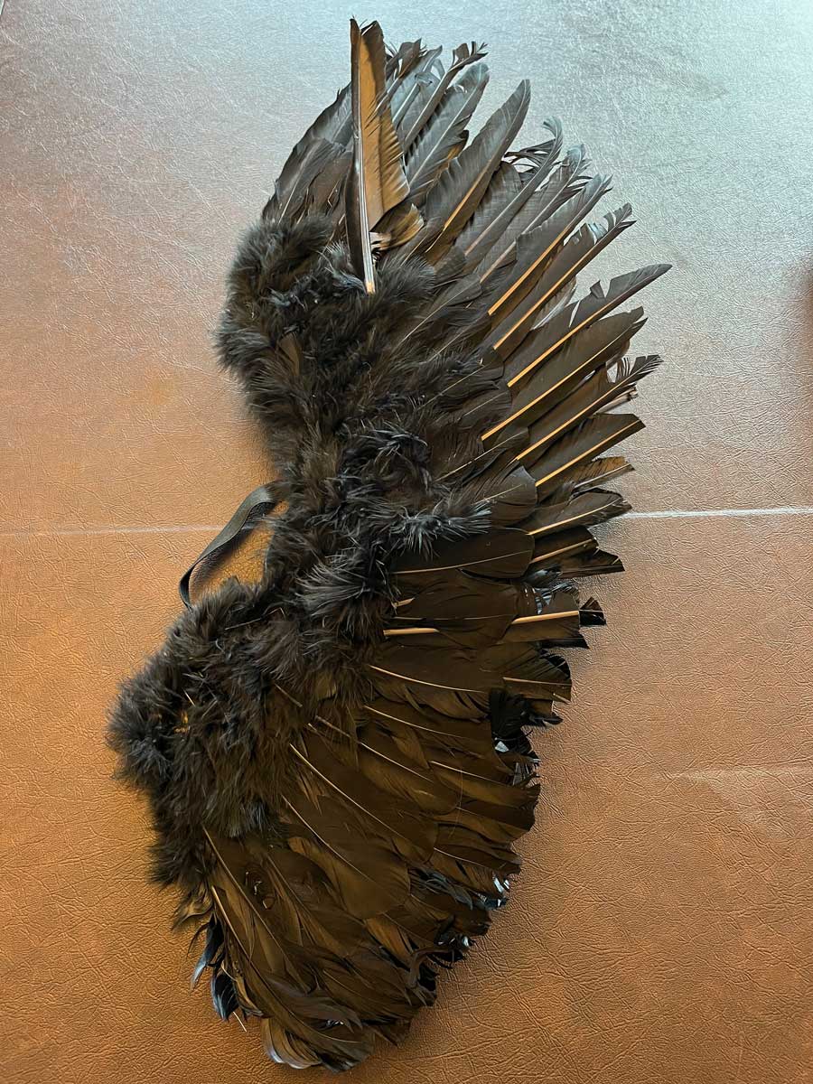 black feathers originally worn by ballroom performer